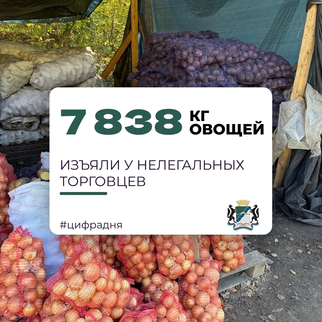 🔎 В Новосибирске прошли очередные рейды по точкам незаконной торговли