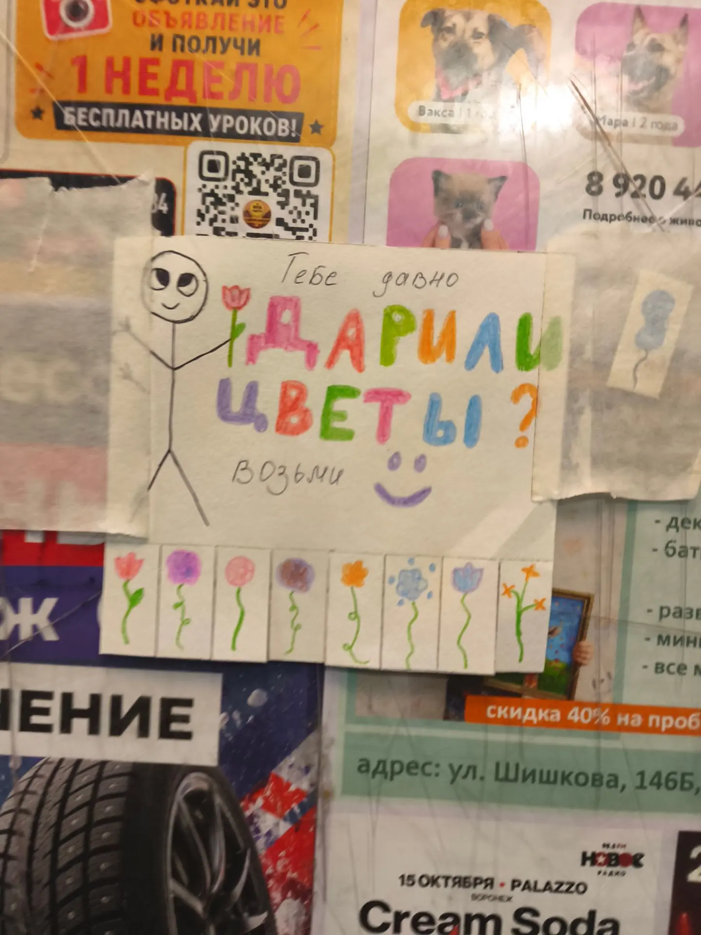 Скоро у меня появиться ещё пальма, герань и кактус 🌵