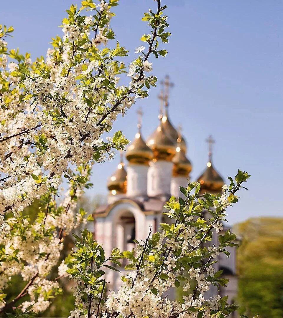 Господи благодарю,