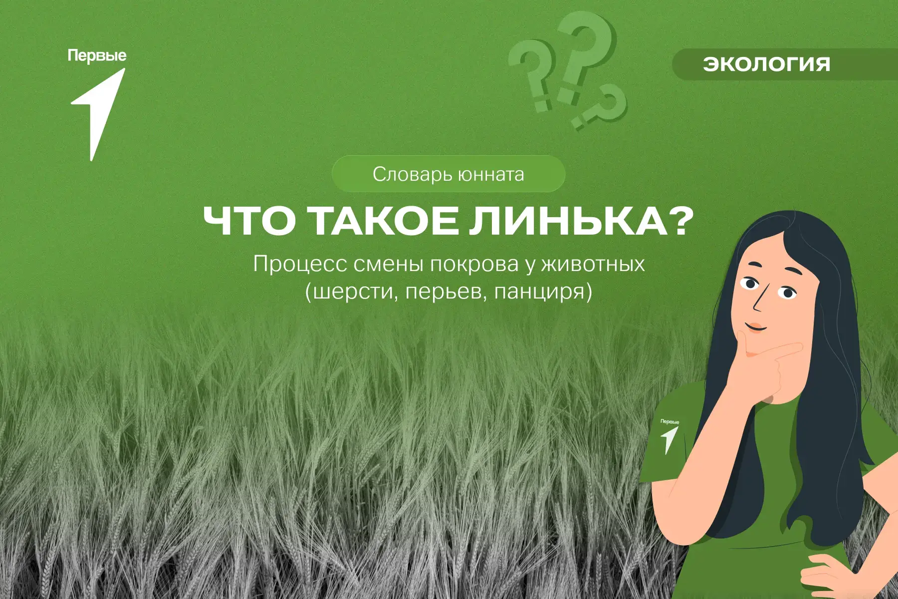 Говорим про осенний гардероб животных 🐿️