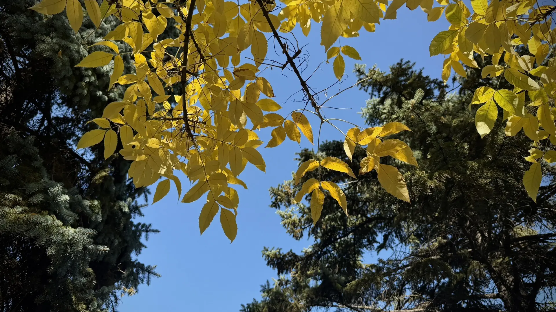 🍂Теплый подарок от середины октября