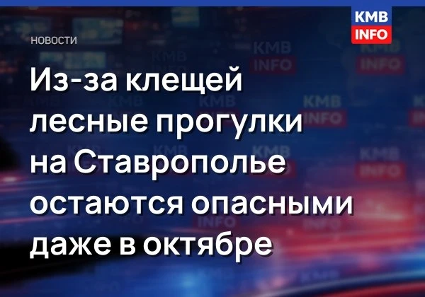 Из-за клещей лесные прогулки на Ставрополье остаются опасными даже в октябре