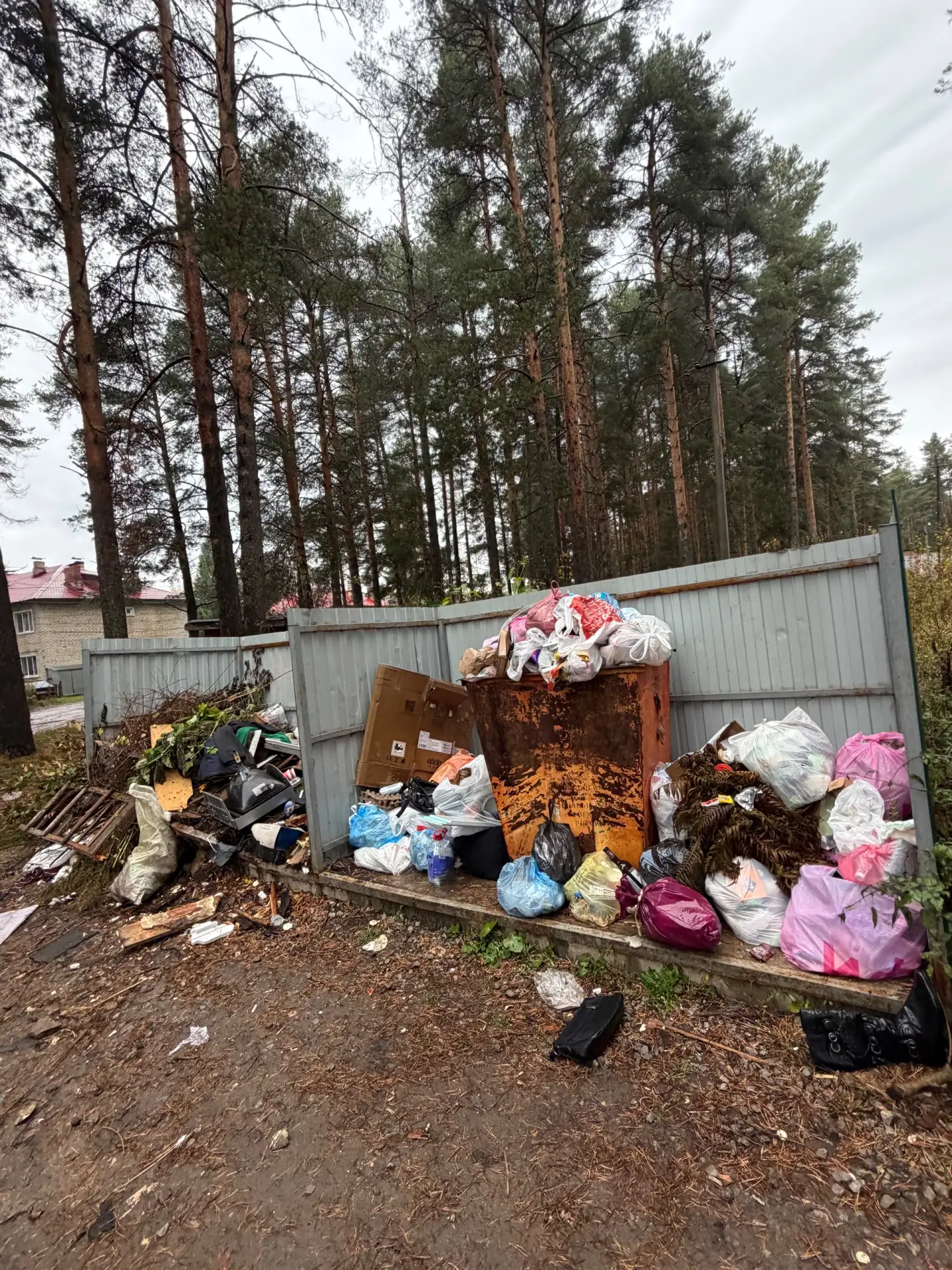 Спецтранс, уберите в конце концов этот страх в бору на Победе!!! Из последней капли тер...