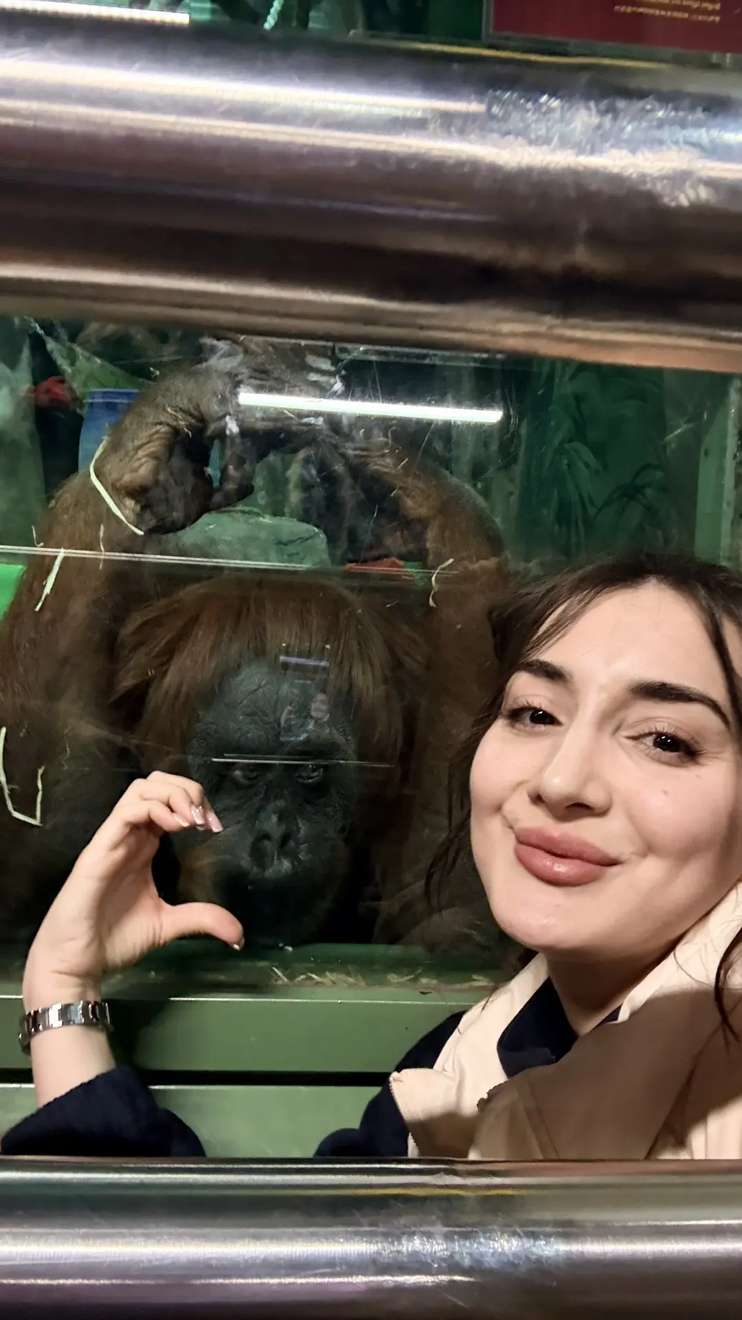 Мы знаем секрет, как сходить в Московский зоопарк бесплатно! Стать многодетными!🤣