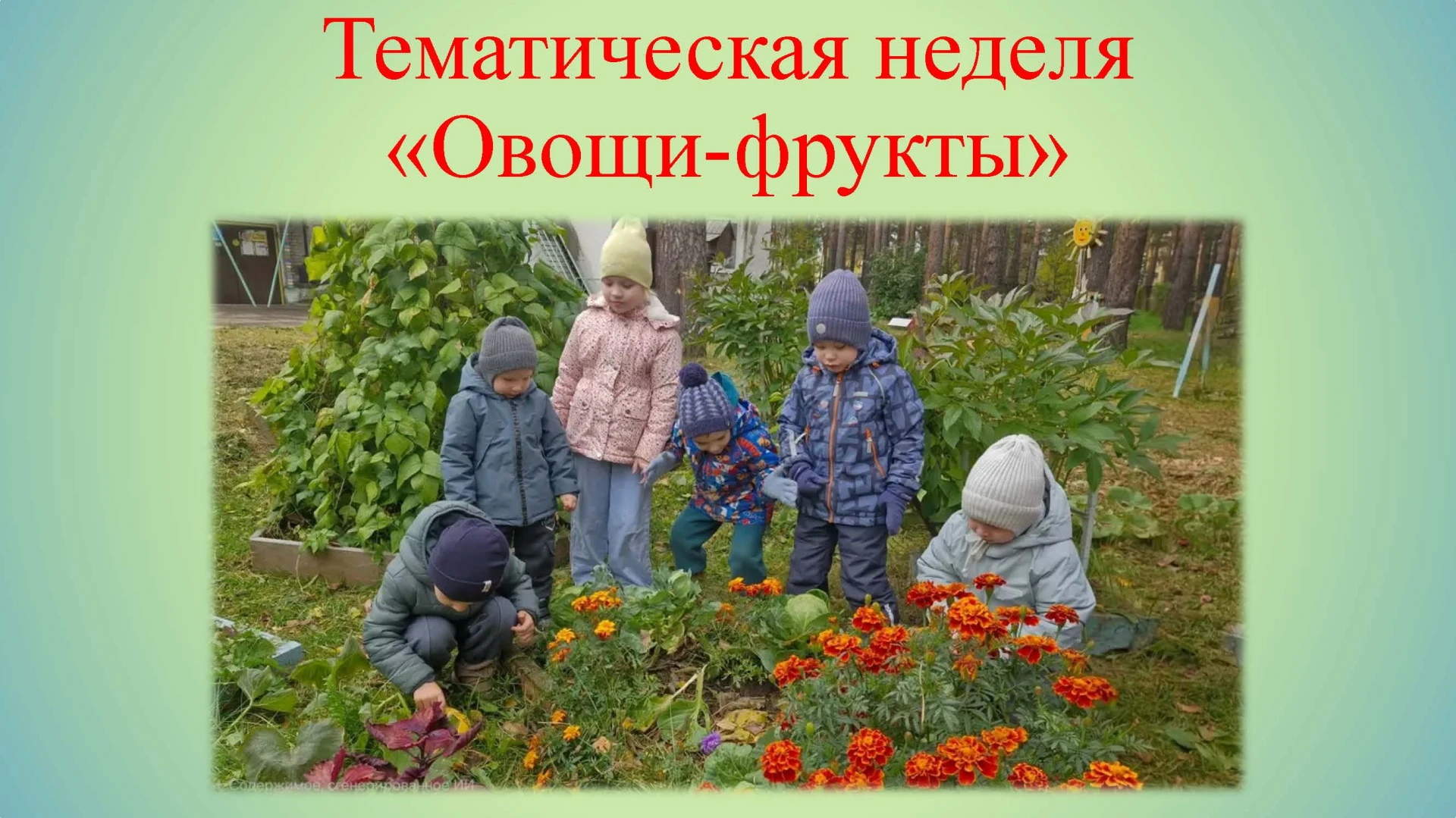 В средней группе № 6 «Пчелки» прошла увлекательная тематическая неделя, посвященная дар...