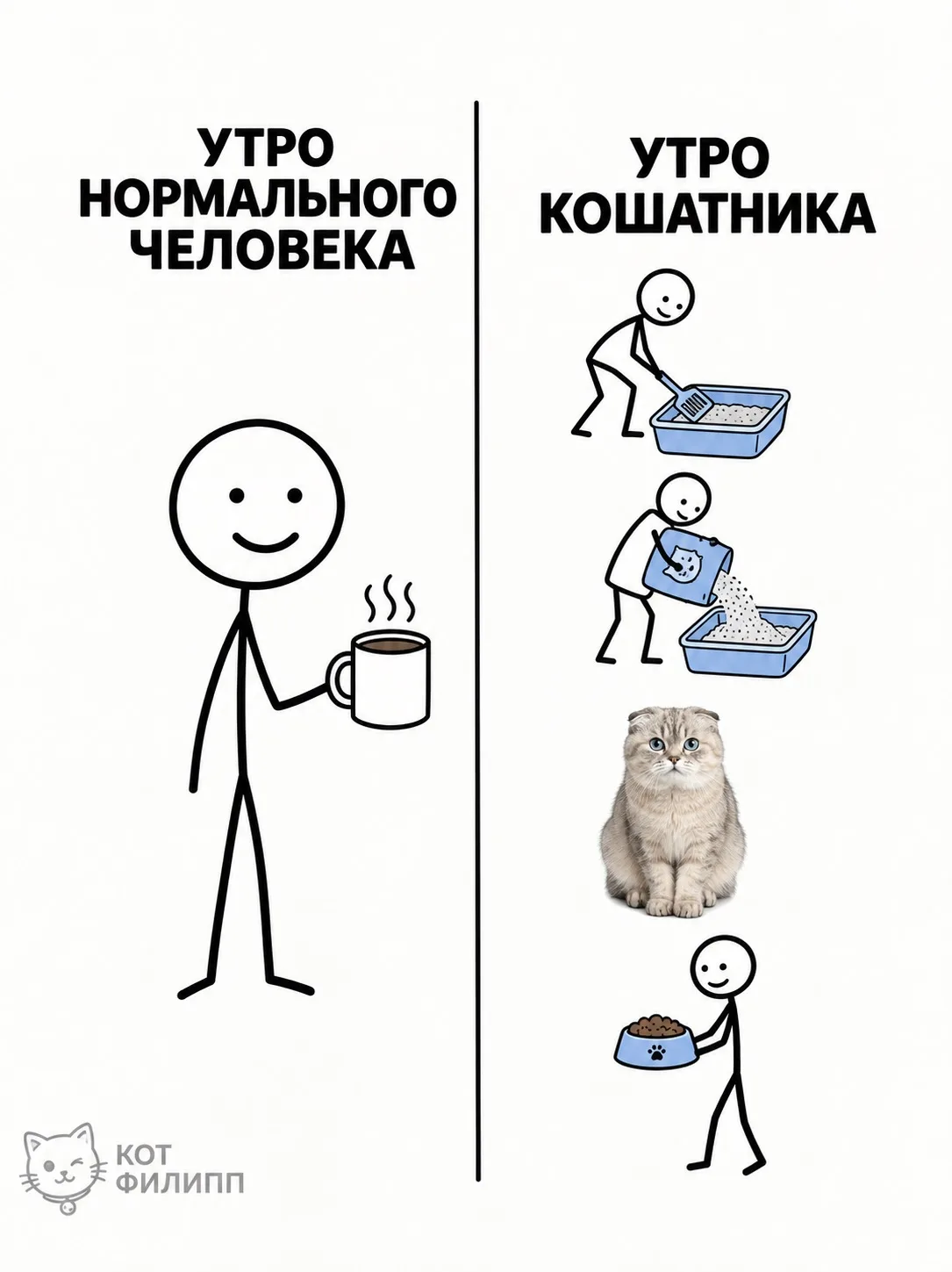 Кошатники, узнаёте себя?😸