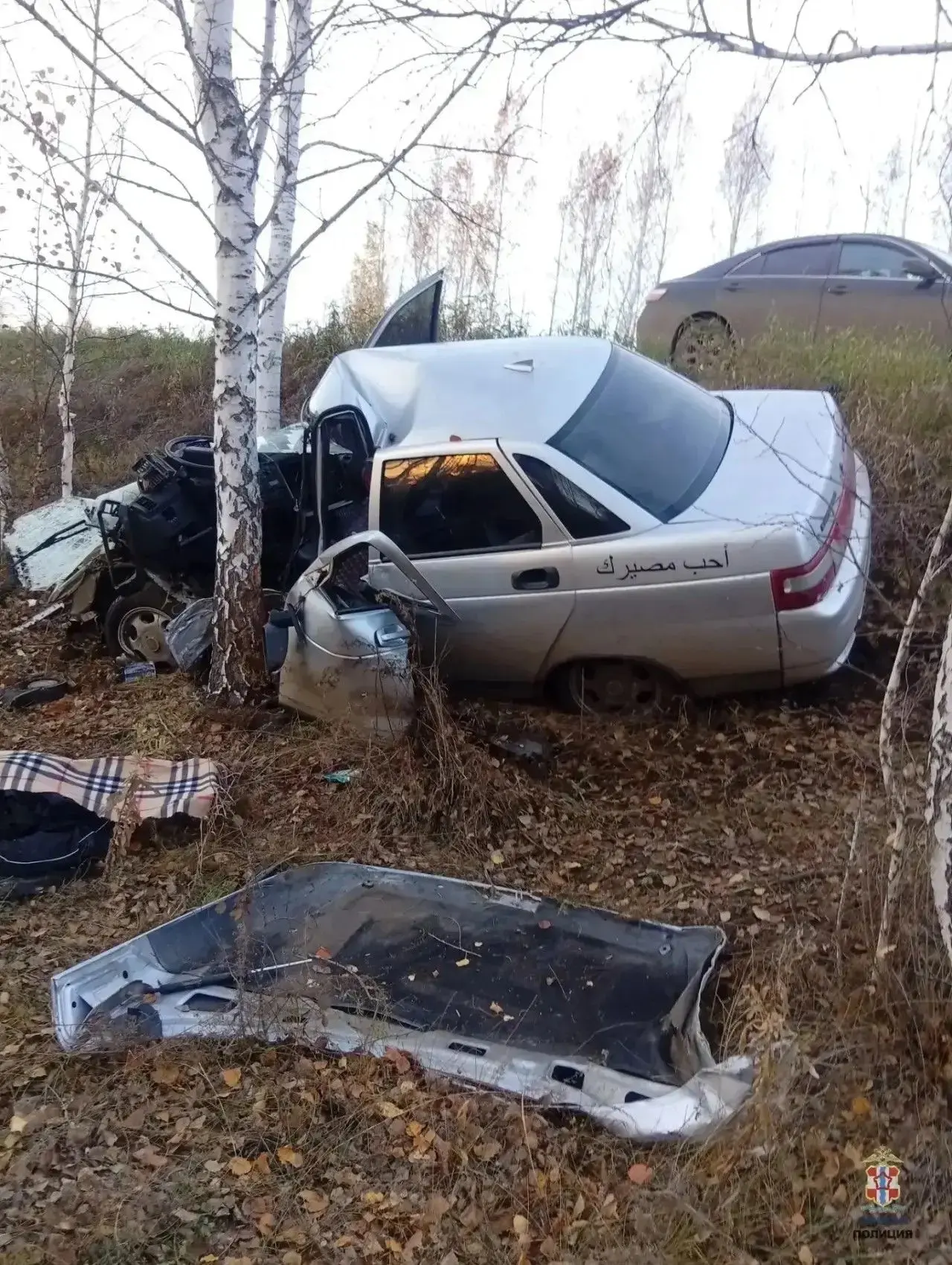 🚔 На трассе в Кормиловском районе молодой водитель ВАЗа погиб после столкновения с дер...