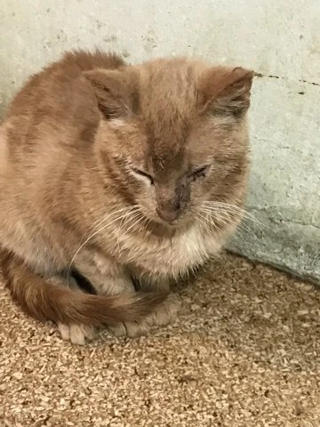 ‼️ осторожно, на видео очень тяжелые кадры.