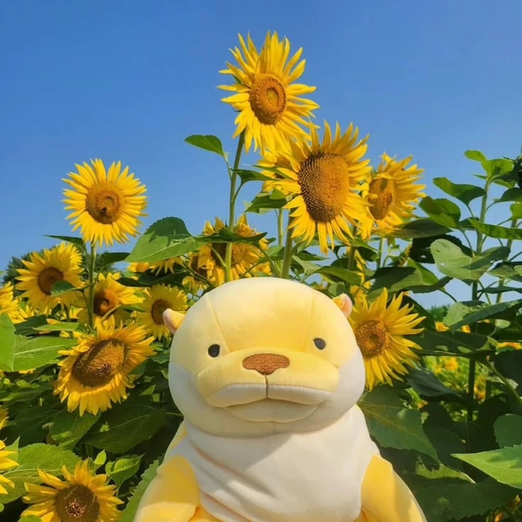 🧸 Плюшевые милашки