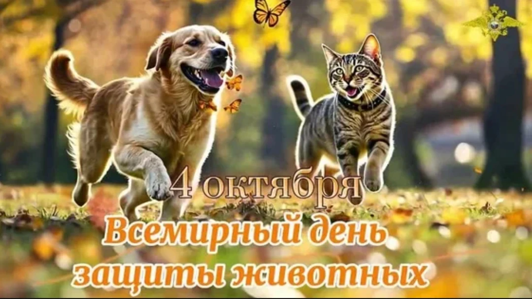 Всемирный день защиты животных в 2026 году отмечается 4 октября. Это международный праз...