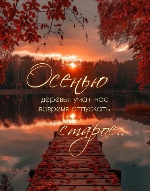 https://max.ru/invista123456
