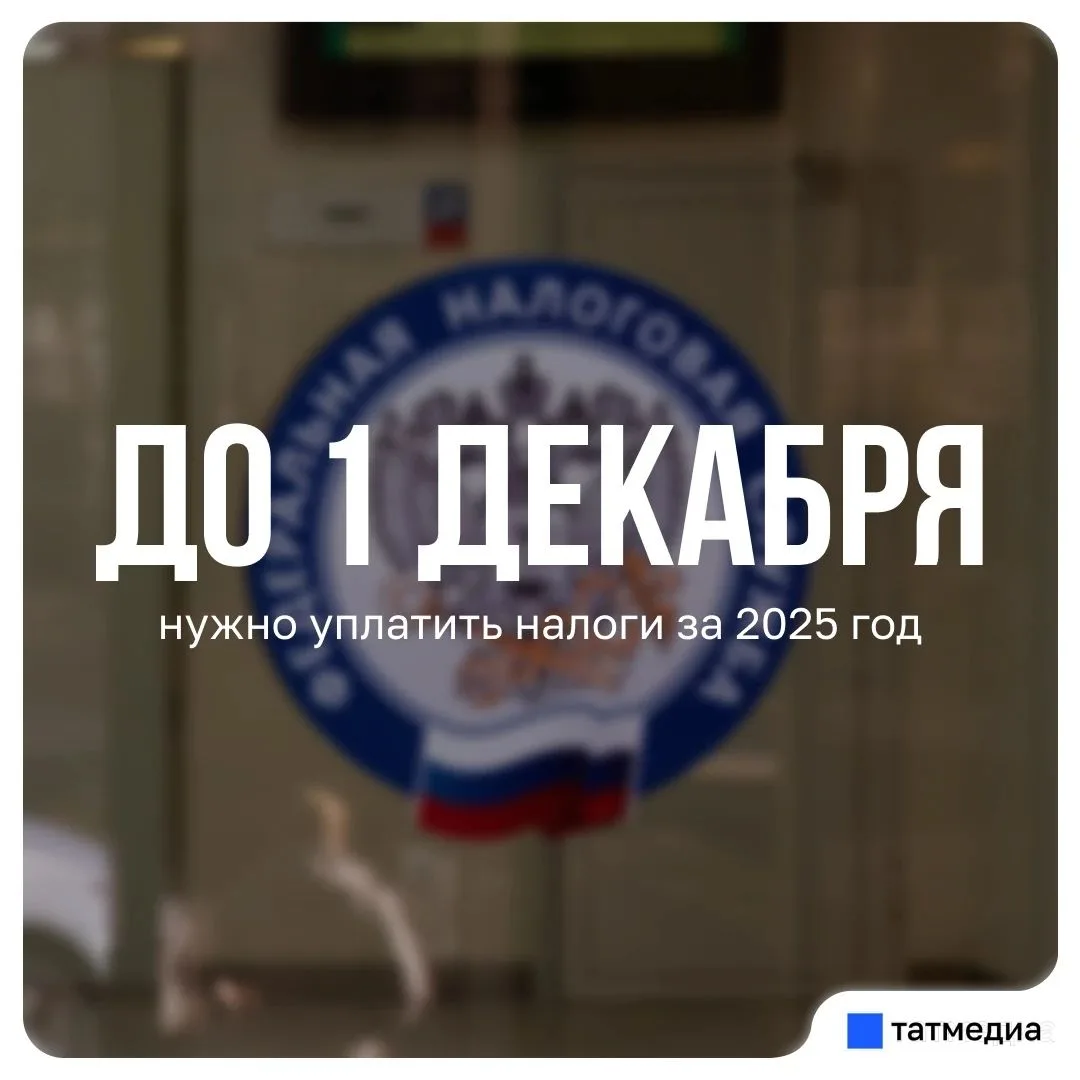 📁📆 Налоги за 2025 год нужно уплатить до 1 декабря 2026 года