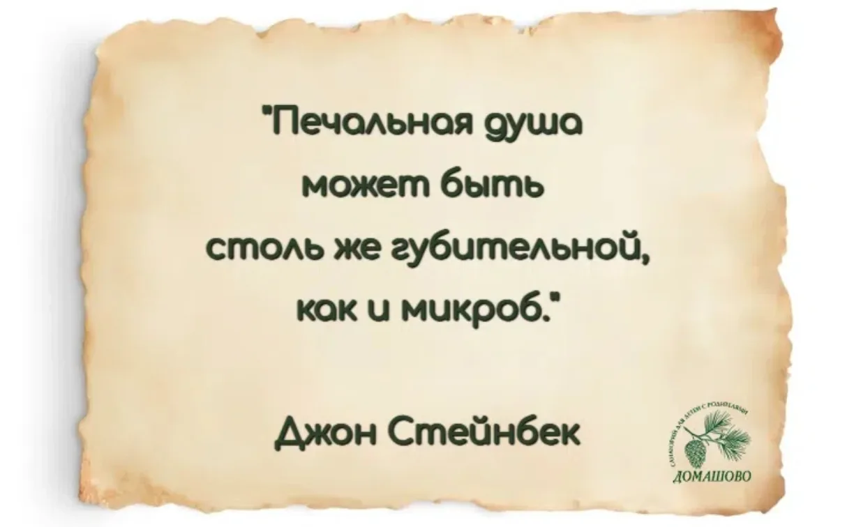 💭 Пятничная рубрика «Цитаты о здоровье».