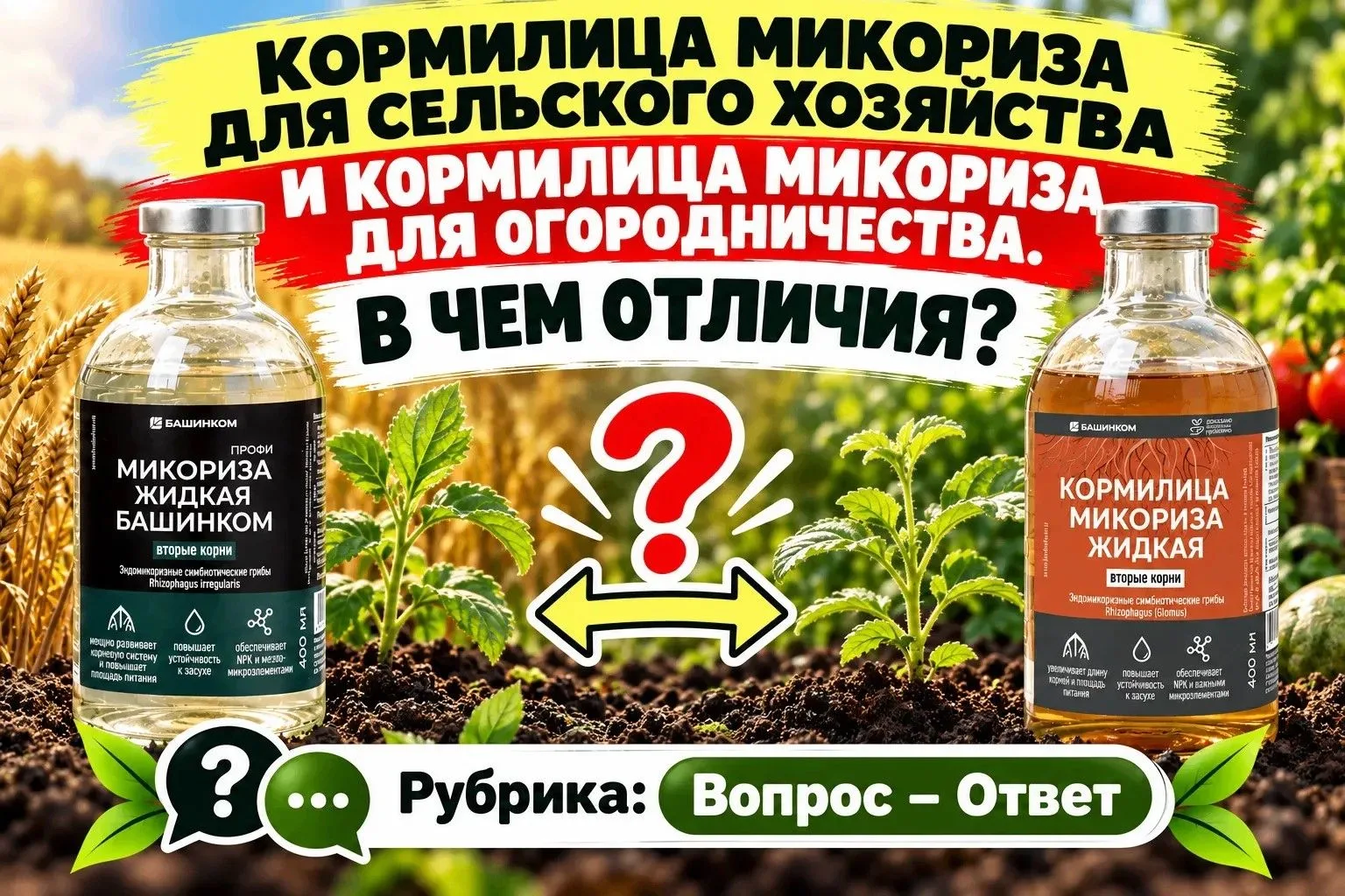 Рубрика вопрос-ответ