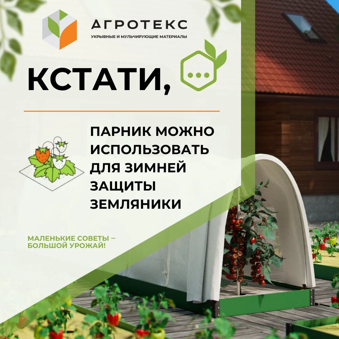 Парник защитит не только от вымерзания, но и от иссушающего зимнего ветра. Это особенно...