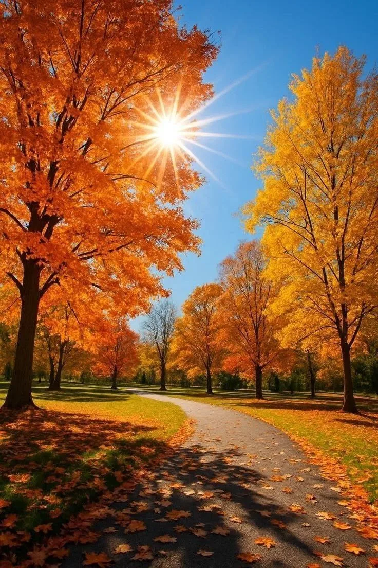 🍁 Погода в Сибае