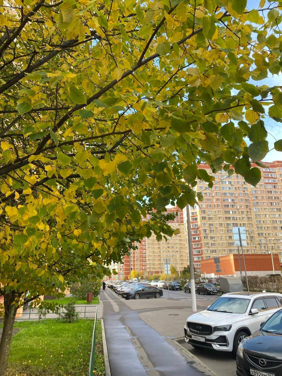 Октябрь ну очень красив 🌳