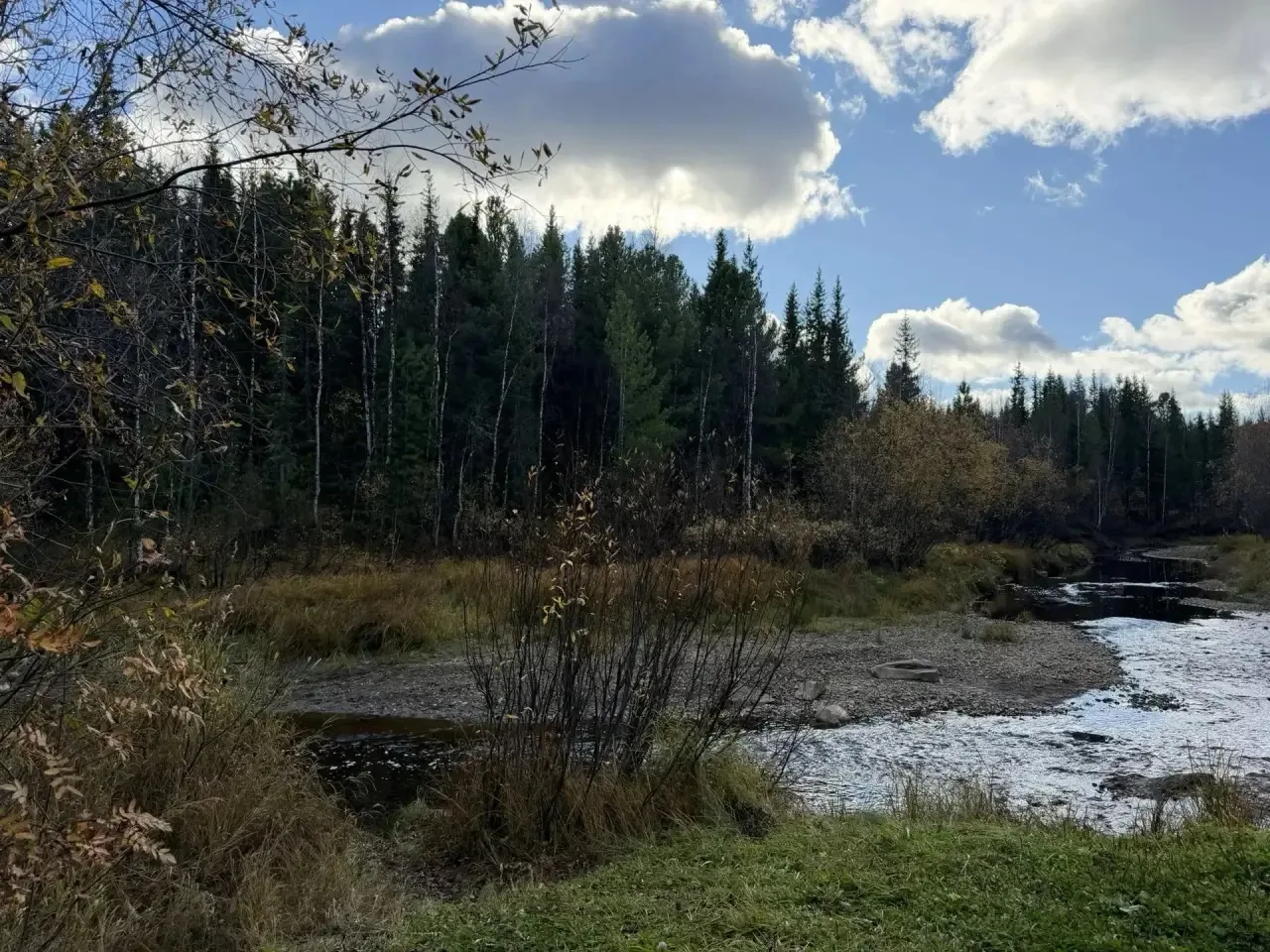 Прогноз погоды 🍁