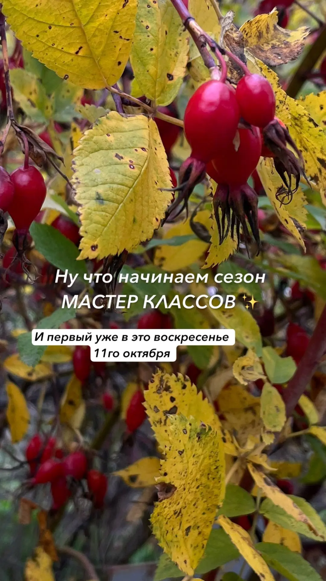 ✨МАСТЕР КЛАСС✨