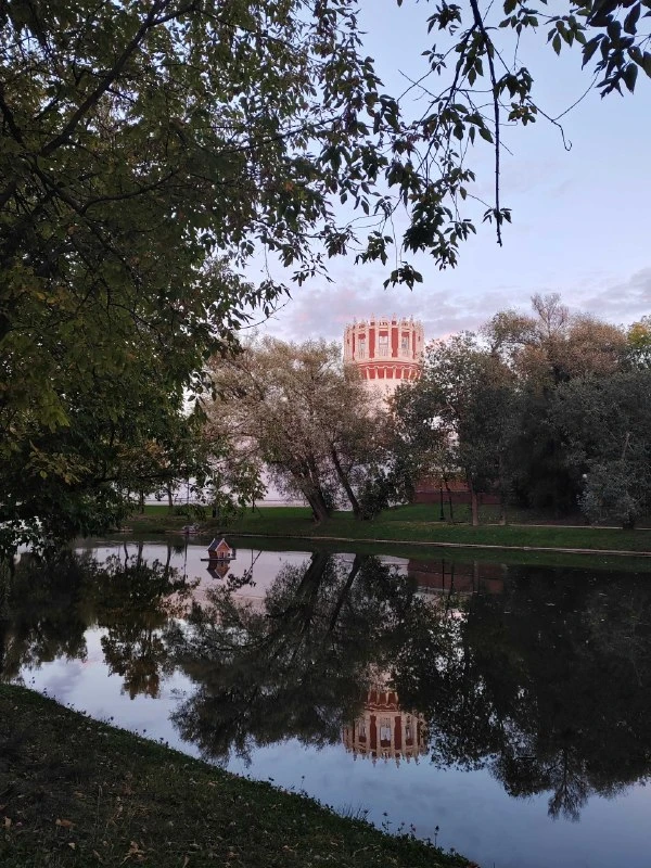 🌳 Осень на Новодевичьих прудах