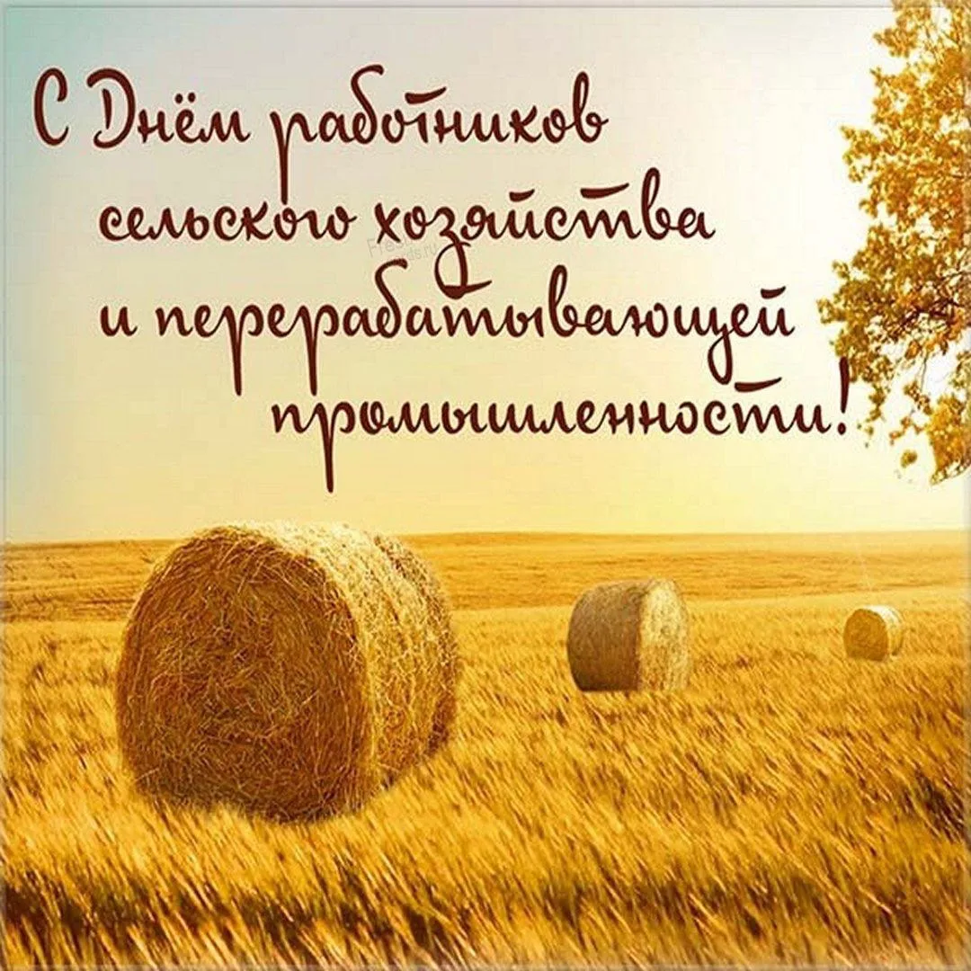 Уважаемые жители Черниговского и Яковлевского муниципальных округов! Дорогие земляки!