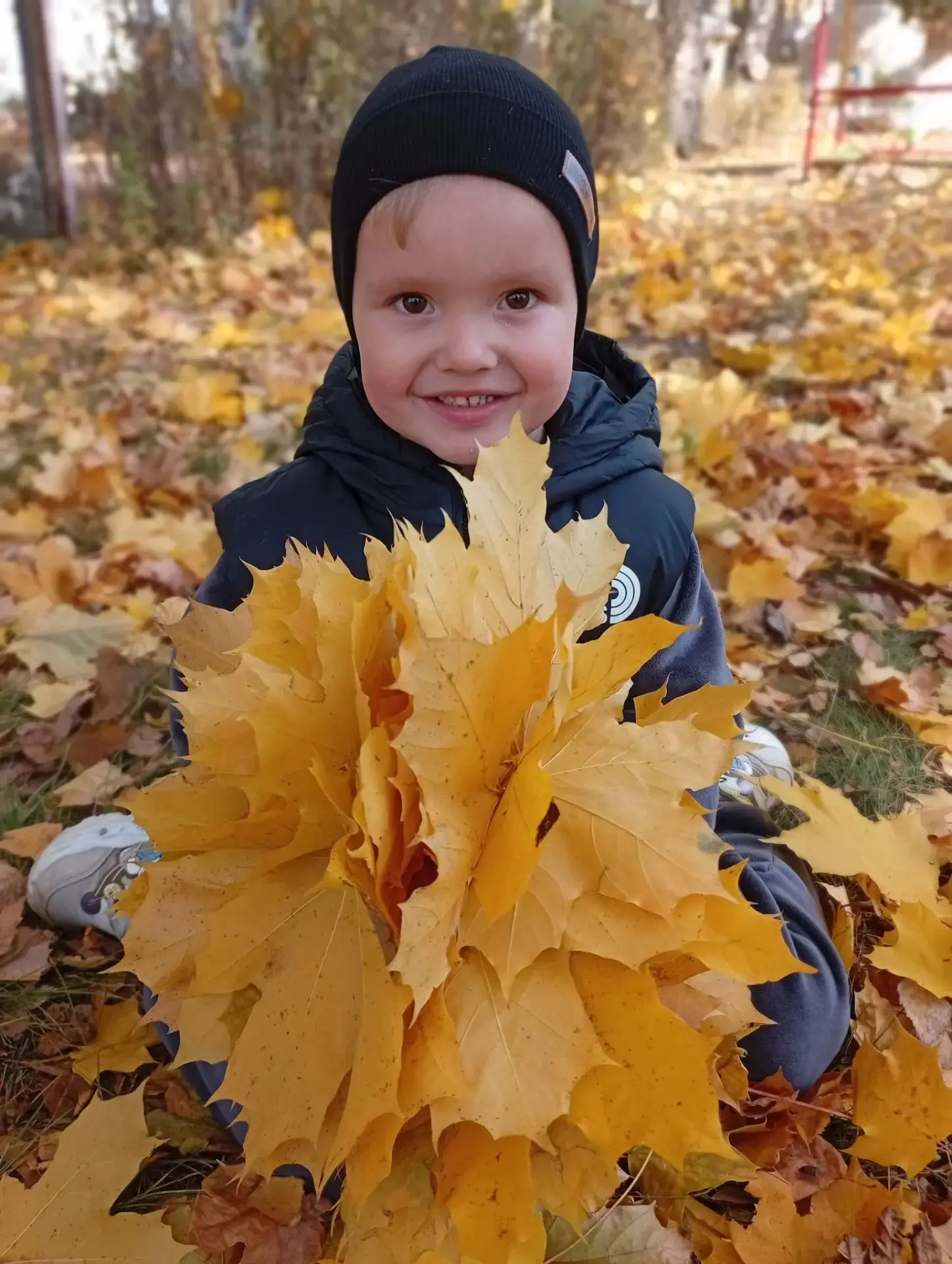 🍂 Осенняя прогулка — это особенное время, когда природа меняет свои зелёные наряды на ...