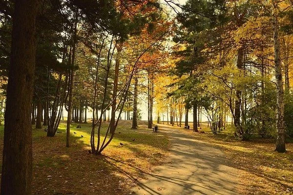 11 октября приглашаем на осеннюю🍂 прогулку по Томску☀️.