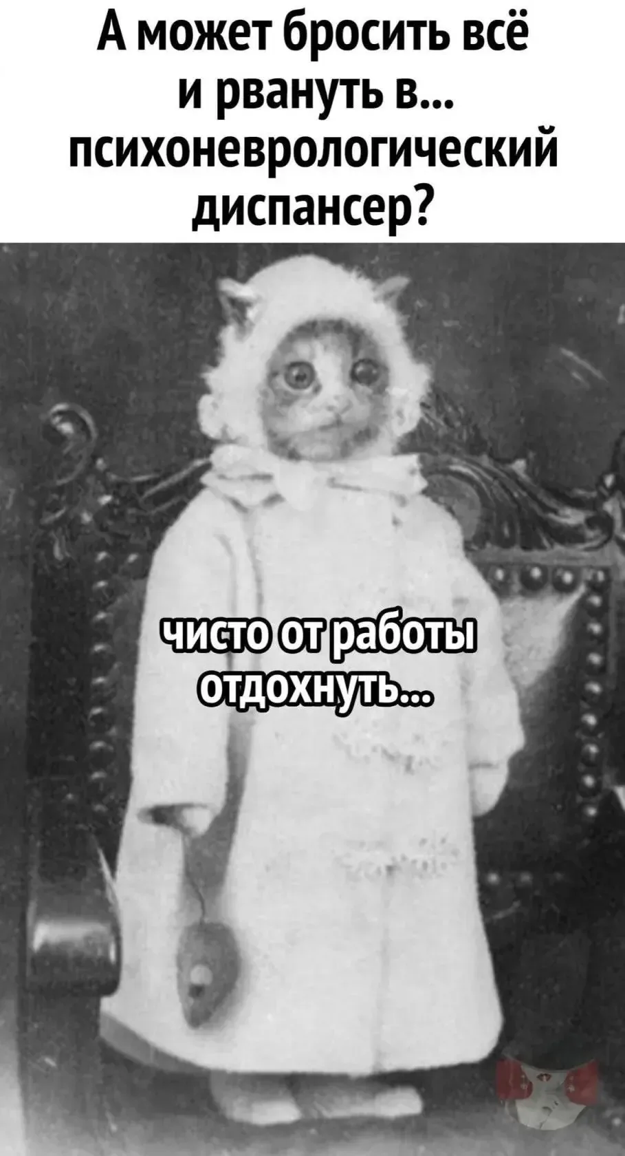 😅😅 Мемас про нас