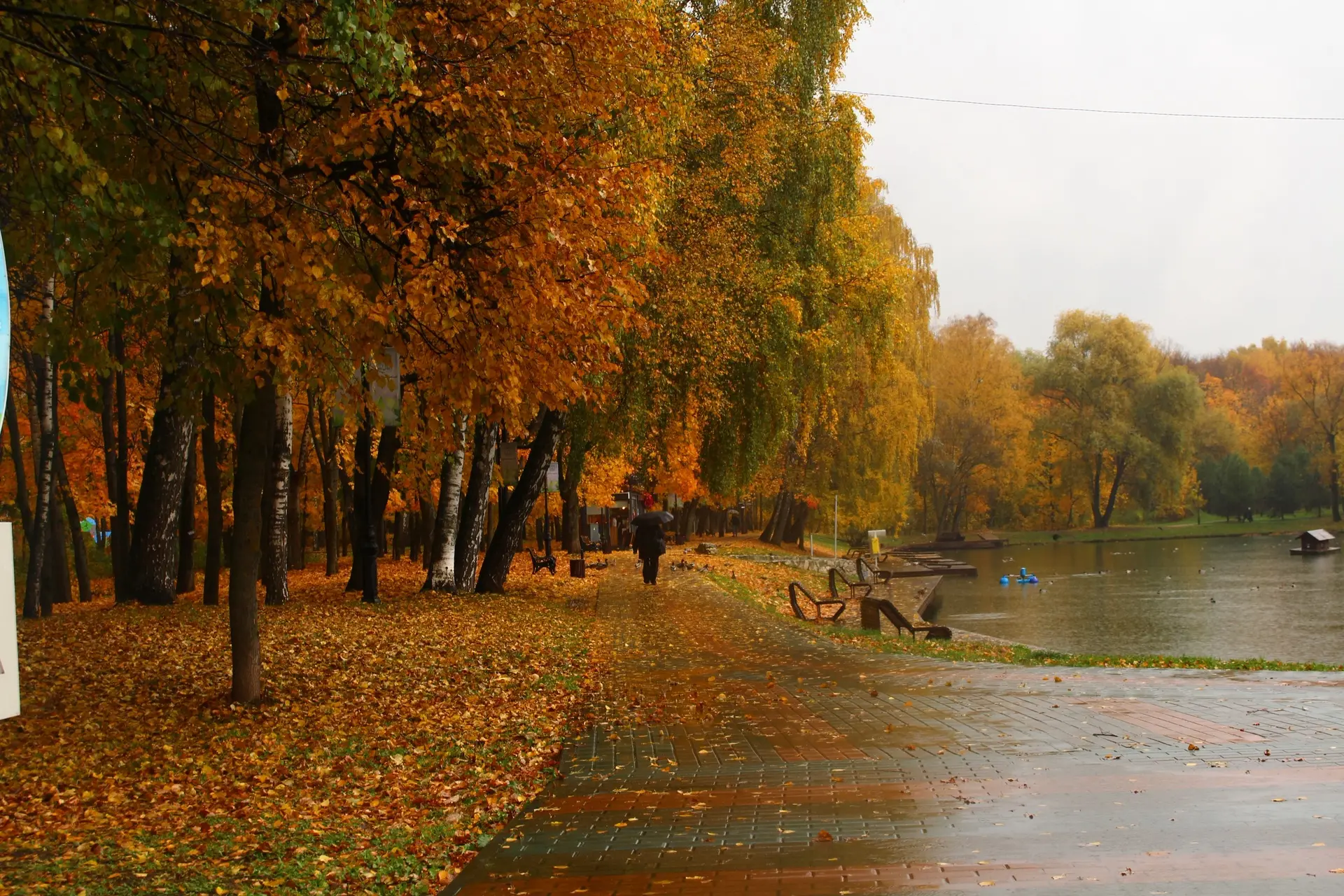 Доброе утро!