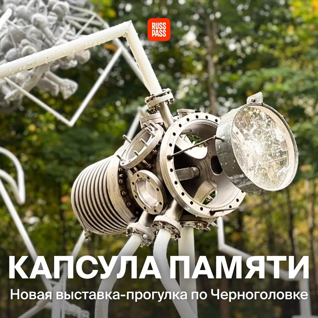 👀 Ровно до этого момента вы вряд ли планировали поездку в подмосковную Черноголовку, н...