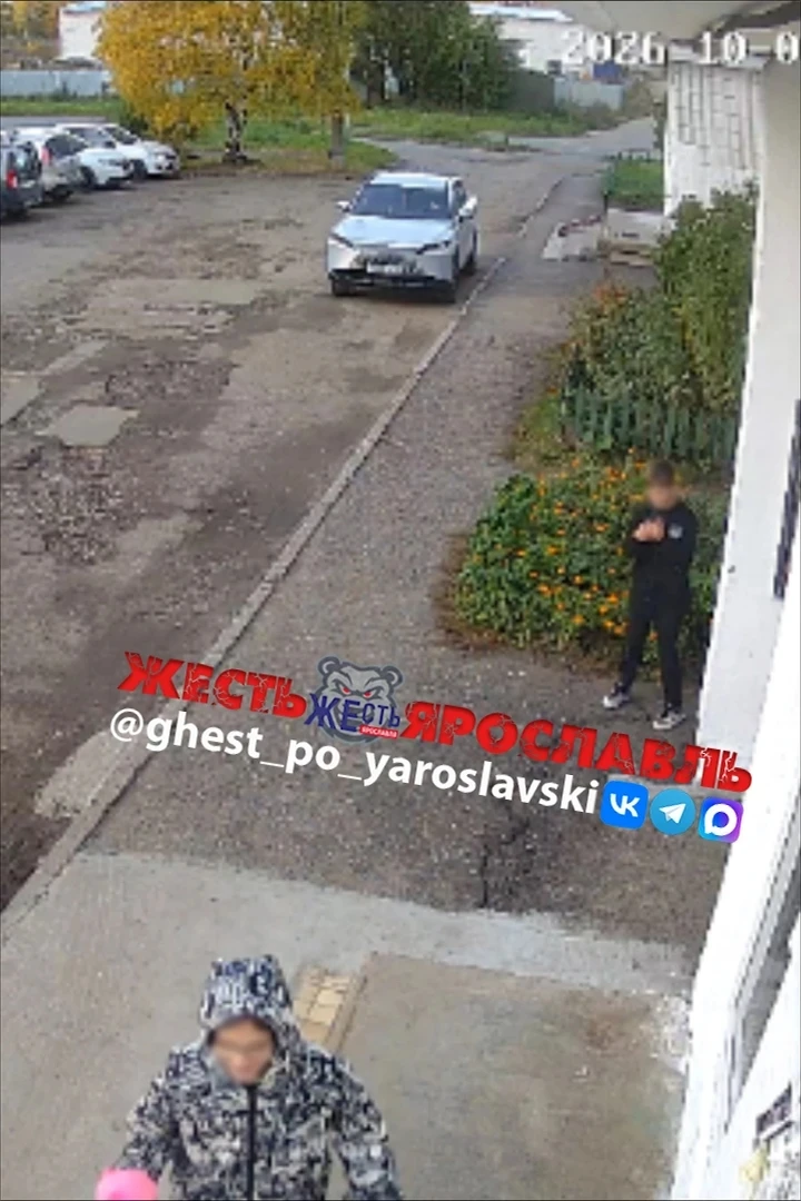 В Ярославле малолетние хулиганы терроризируют пенсионеров и снимают это на видео