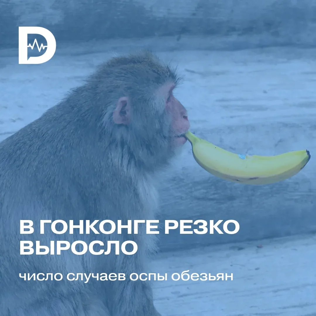 🦠 Оспа обезьян в Гонконге: тревожные новости!