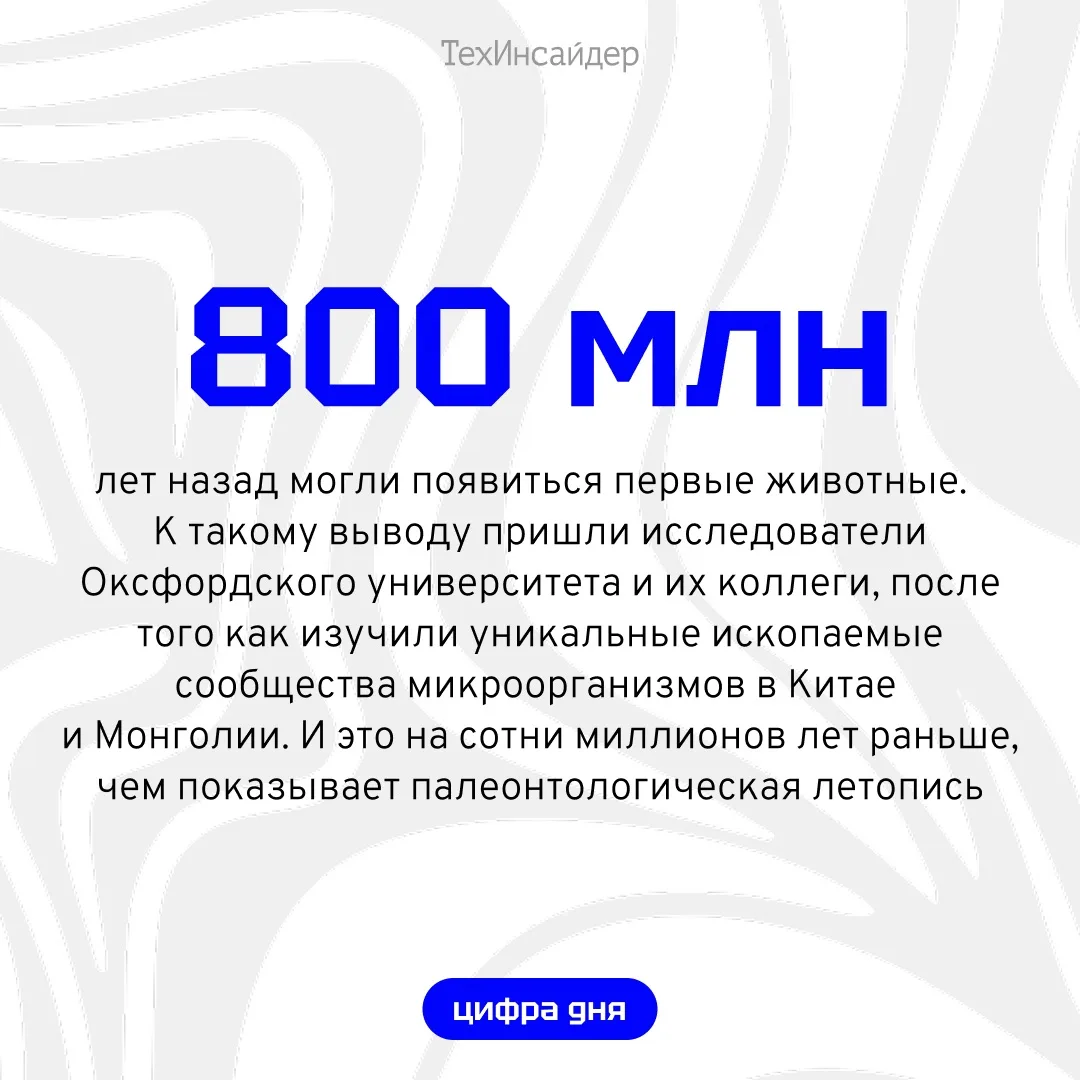 #цифра_дня