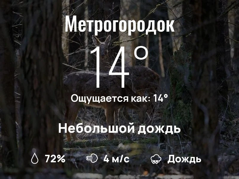 Что с погодой в Метрогородке?
