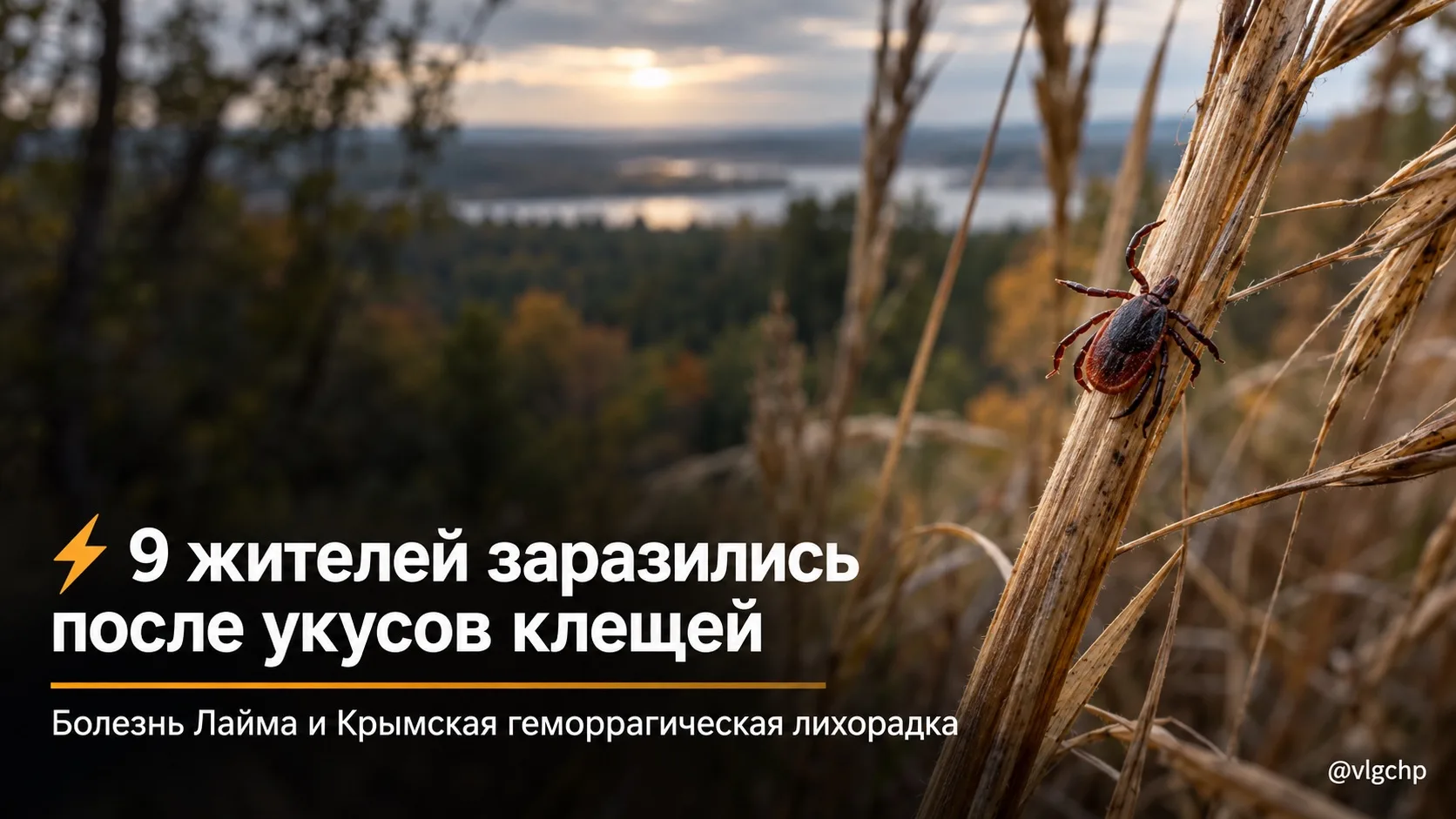 ⚡️ Девять жителей региона заразились опасными инфекциями после укусов клещей