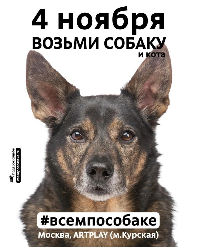 4 ноября 2026 года в Москве пройдут выставки #Всемпособаке и #Всемпокотику
