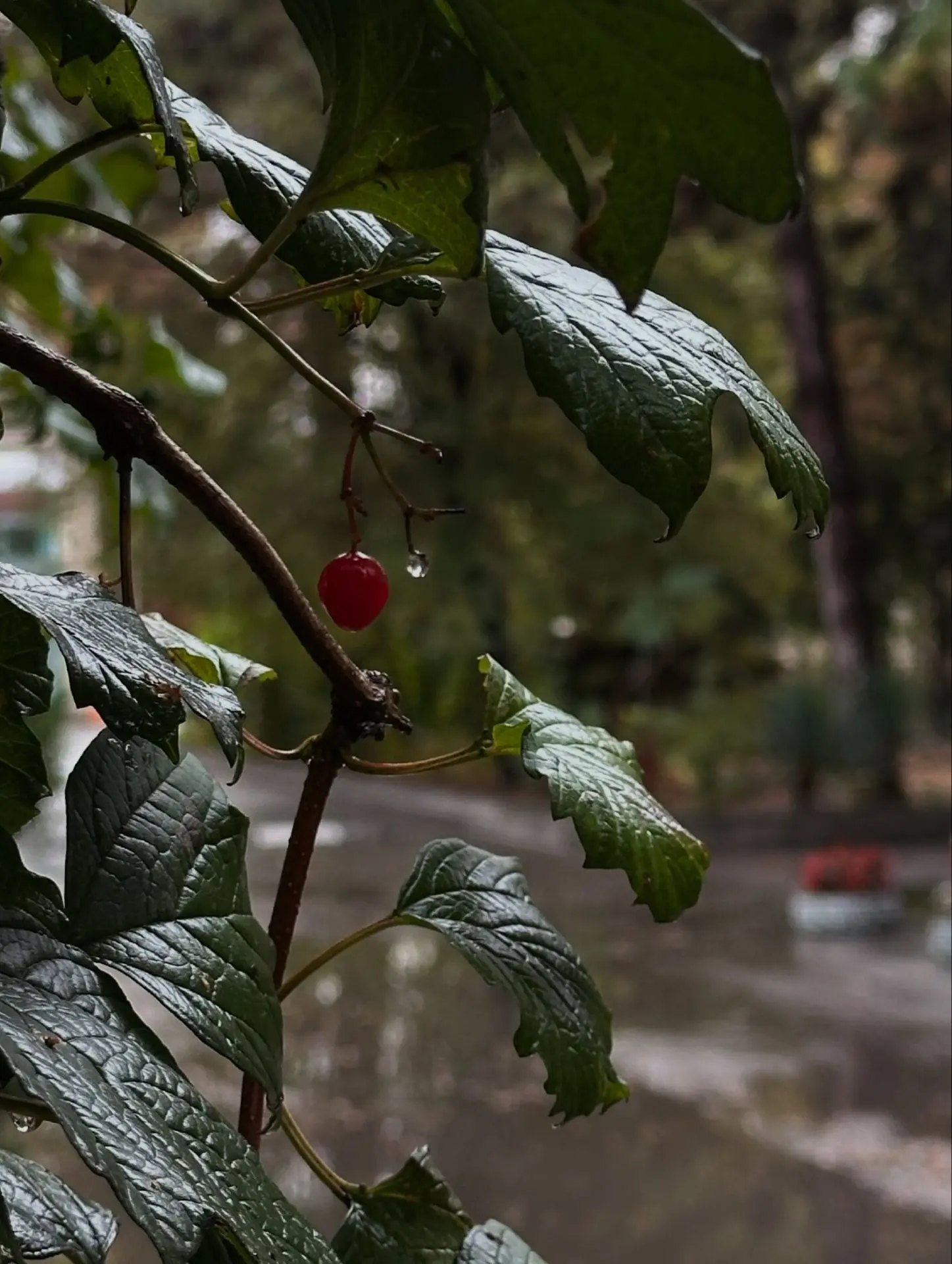Волшебная осень в Анапе✨🍂
