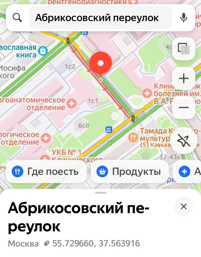 Переулок в центре Москвы, названый в честь патологоанатома.