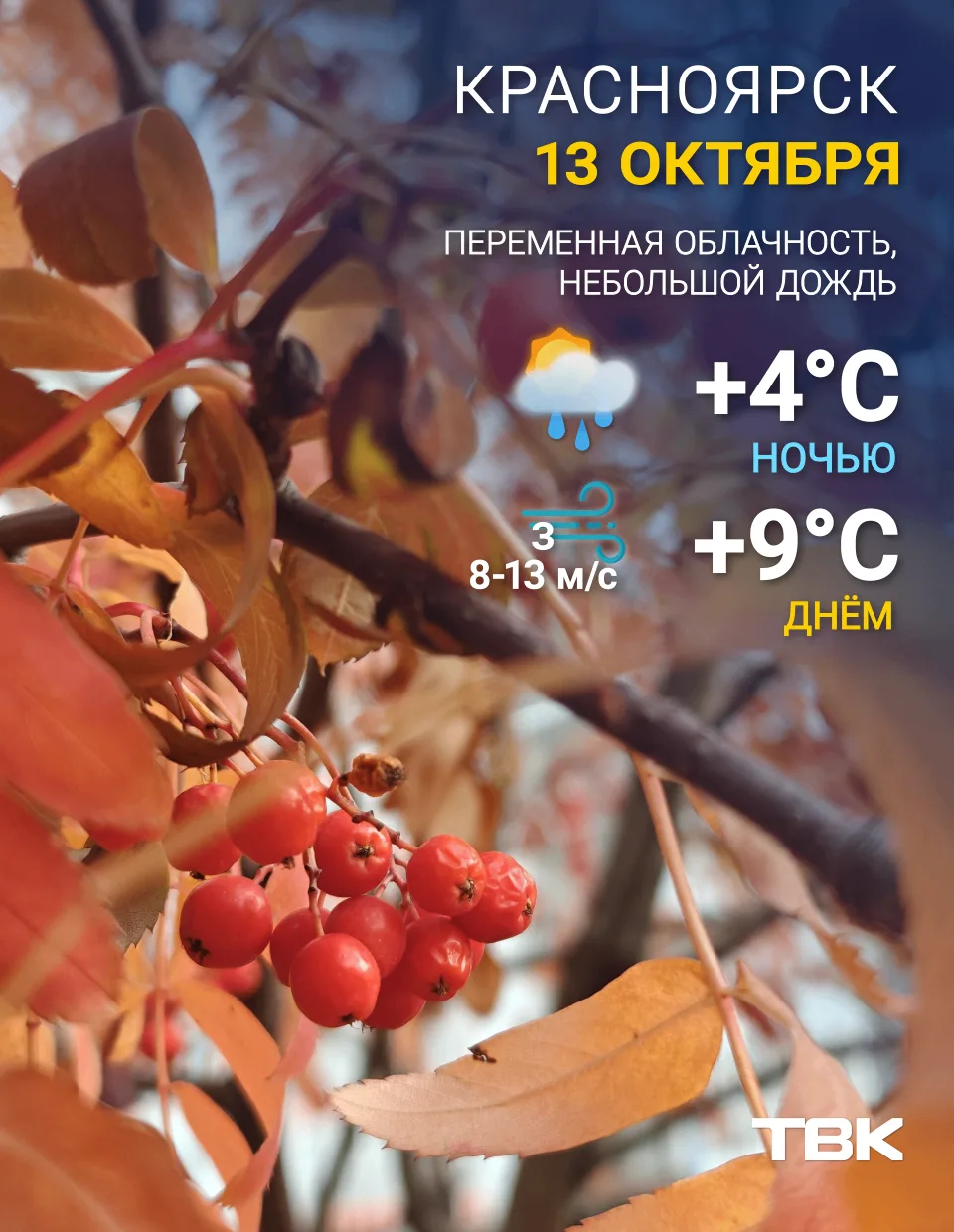Погода на сегодня