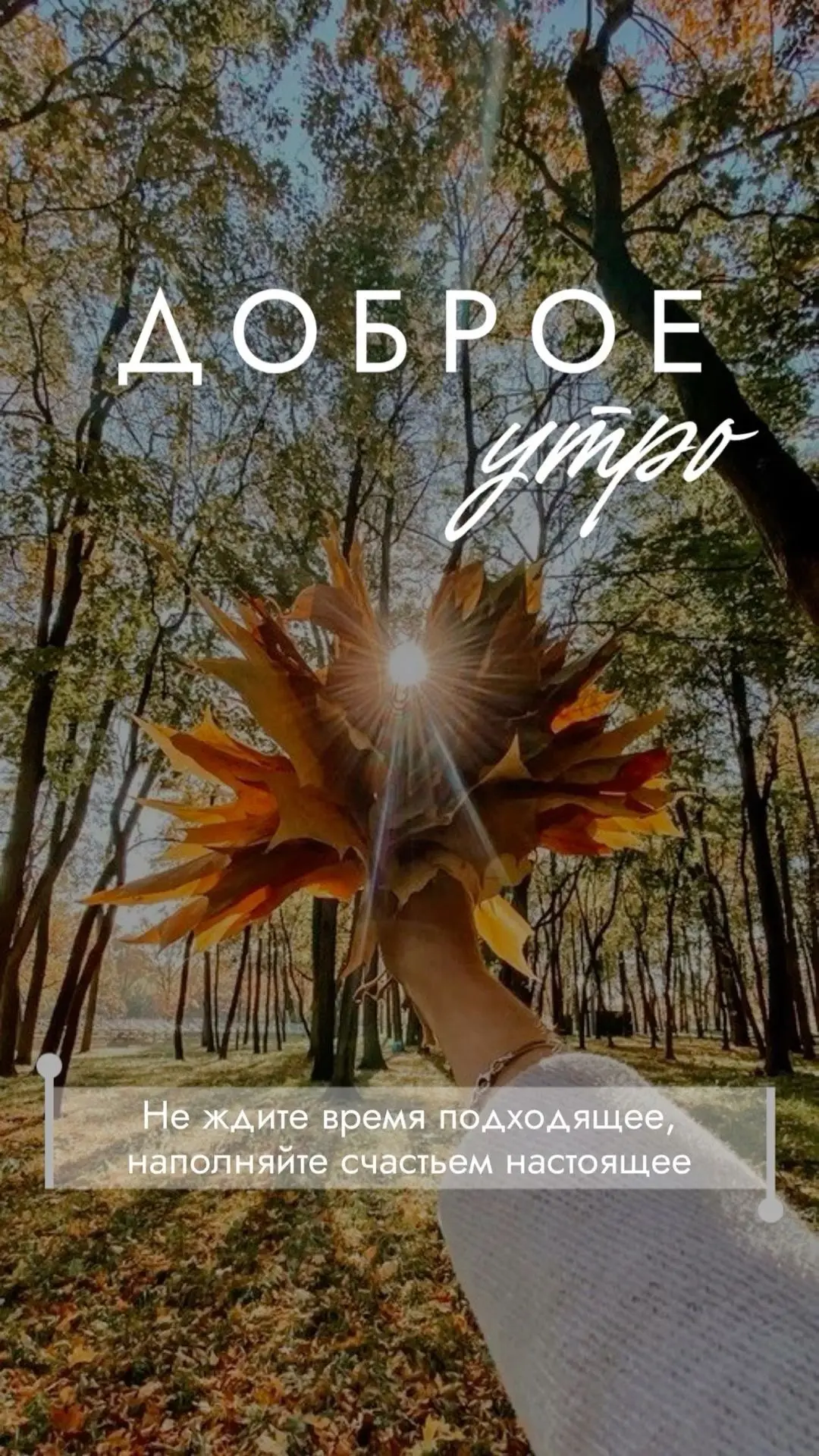 Доброе утро, друзья