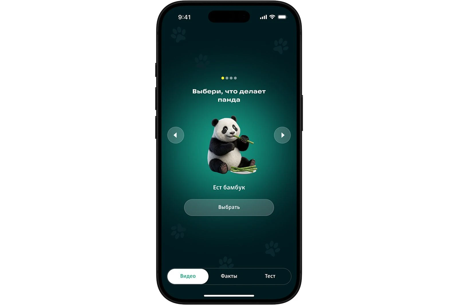 Московский зоопарк AR: панда, манул и ирбис в смартфоне