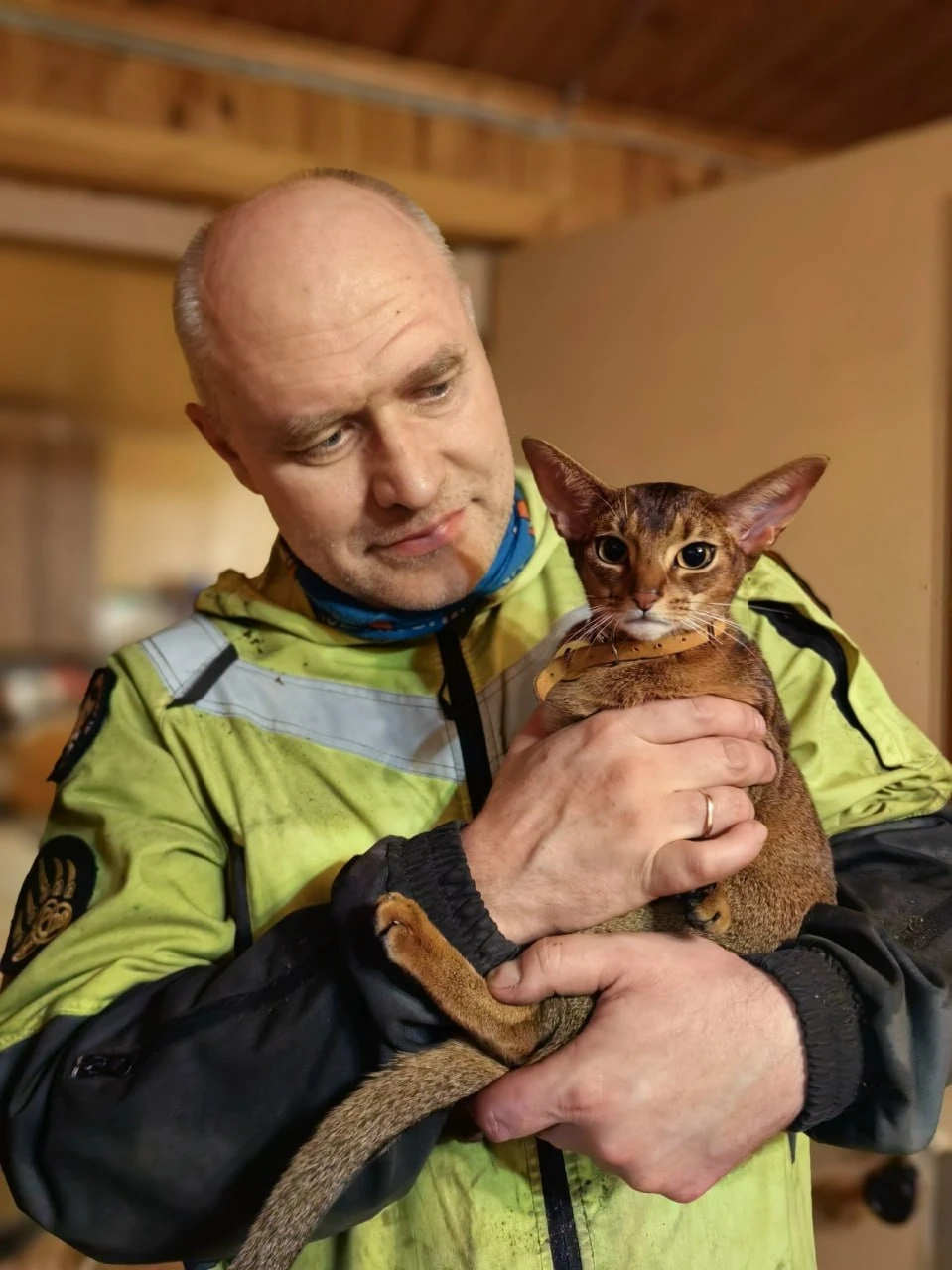 🙏 Спасатели сняли кошку с высокой ели в Выборгском районе