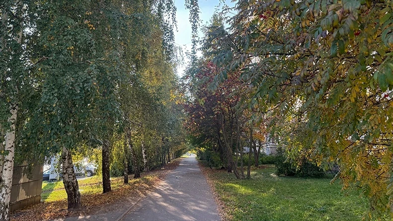 🌤Старое “бабье лето” продолжается: синоптики о погоде в Тамбовской области