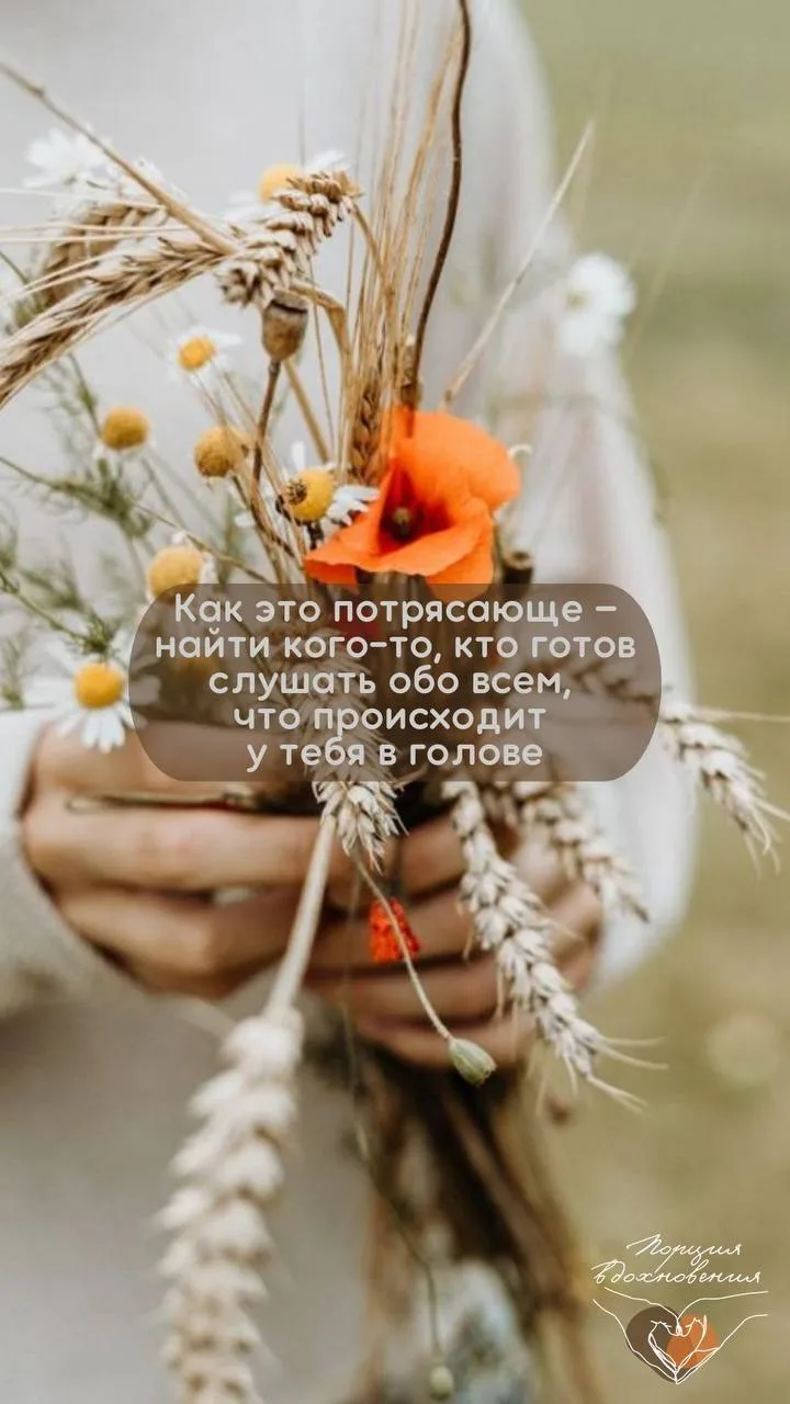 #разное