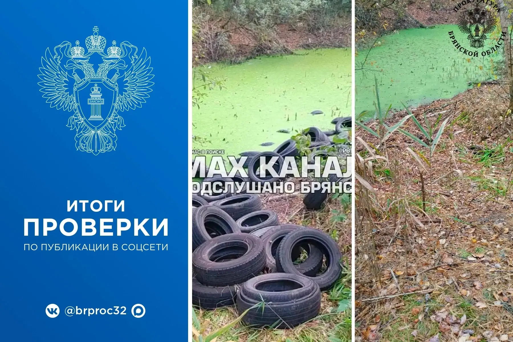 Брянская природоохранная прокуратура отреагировала на публикацию в социальной сети об о...