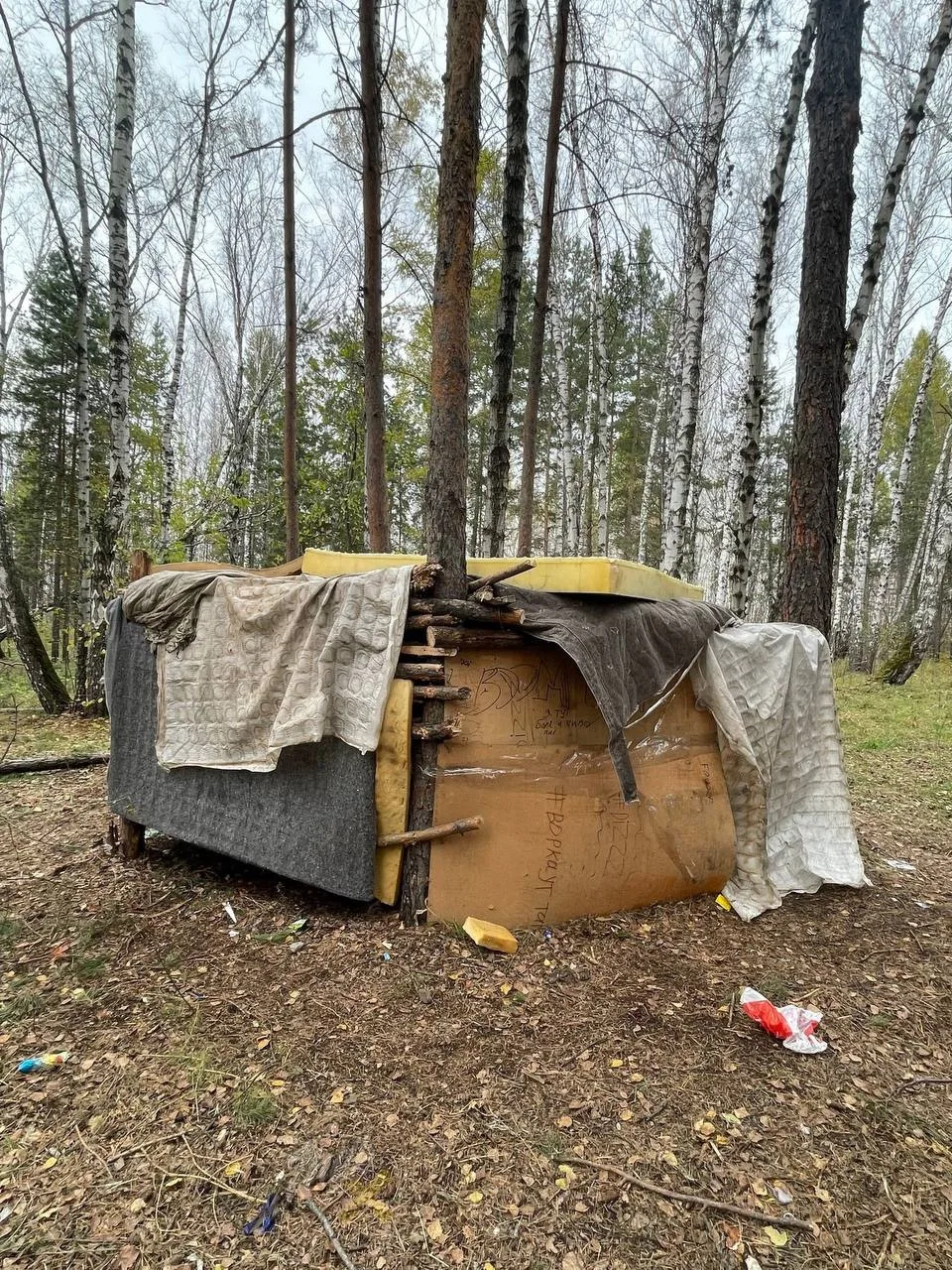 🌲 Подростки устроили лагерь в лесу и рубят деревья