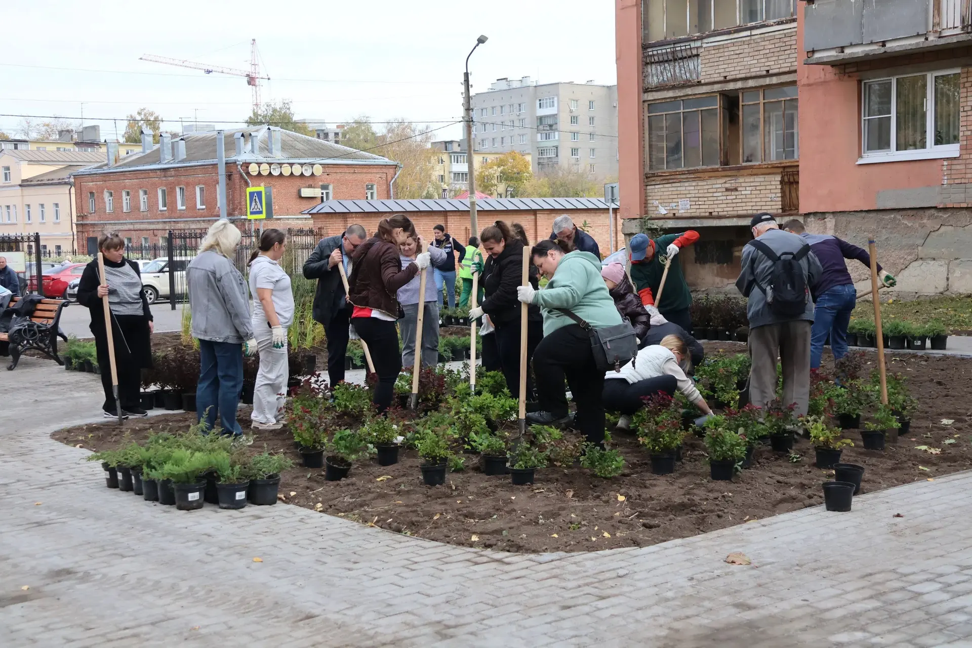 🌳 В сквере на улице Грибоедова прошла акция по озеленению. Участники высадили дуб, сир...