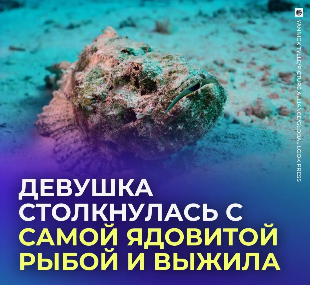 😬 Россиянка едва не лишилась ноги после купания в Индийском океане на Шри-Ланке.