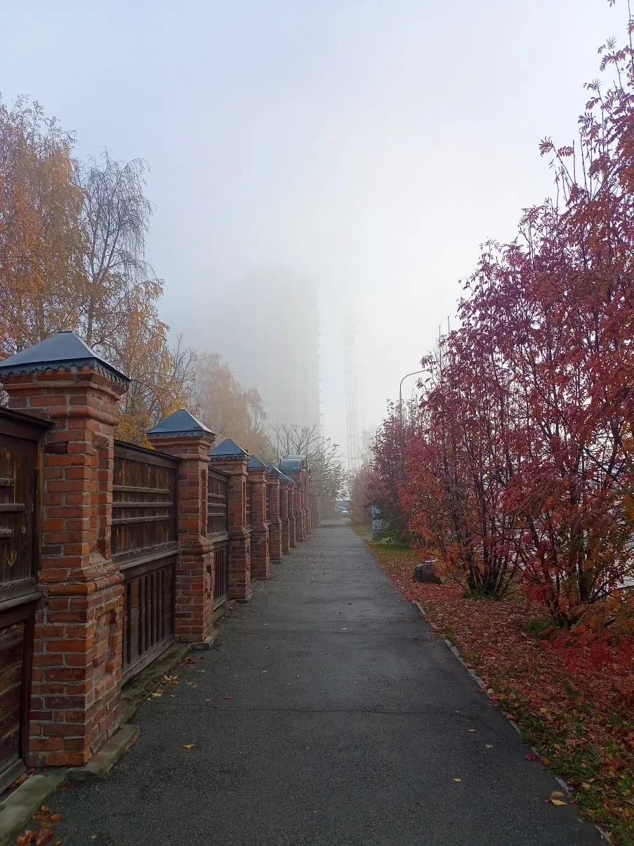 Осенний ГМИЛИКА сегодня 🏛