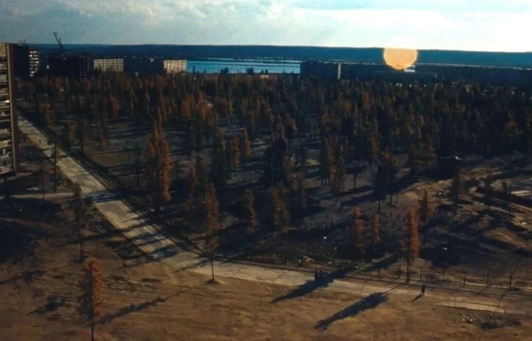 Парк Козлова сорок лет назад, 1985 год.